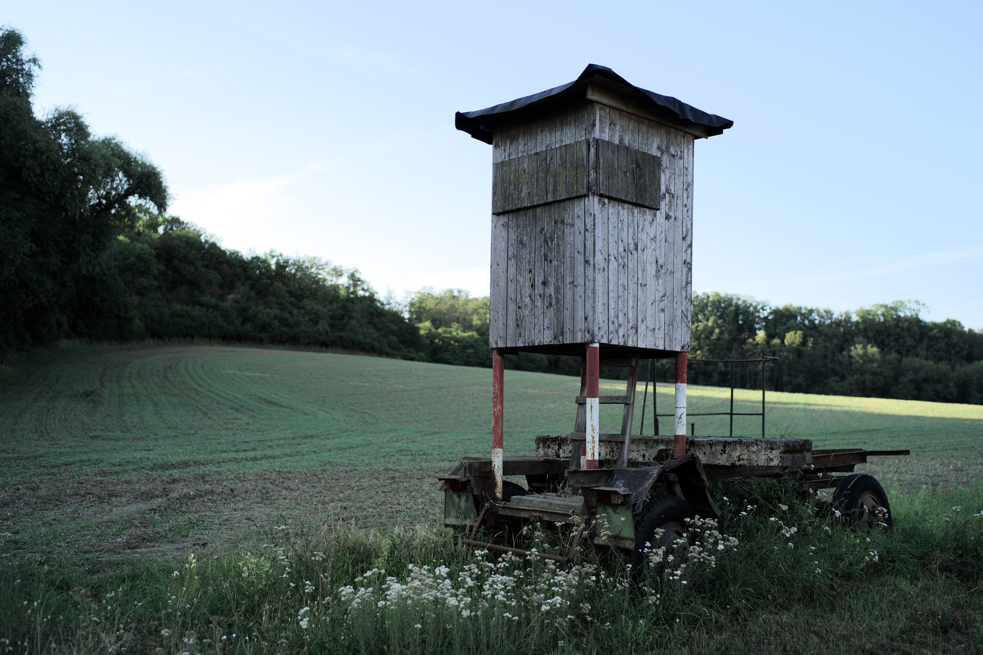 Hochsitz am Feldrand über dem Oderbruch